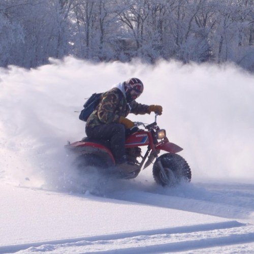 jfish1211's profile picture. 