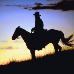 1cowboycitou Profile Picture
