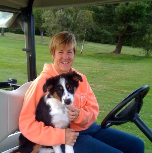 gerriviant's profile picture. 