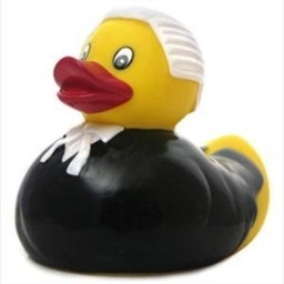 Barrister
