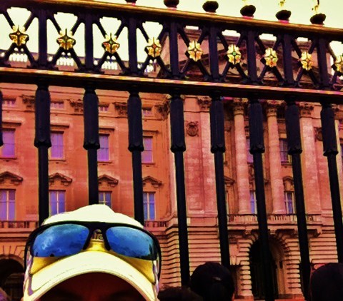 BallcapTravel's profile picture. Ballcap Travel is a new casual travel resource for those wanting to see the world on a more relaxed level.
 
*In development, thanks for your patience!*