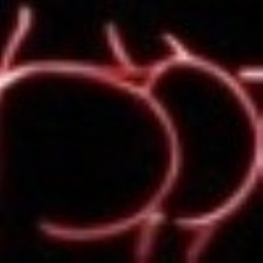 tildiexhsgvg's profile picture. 