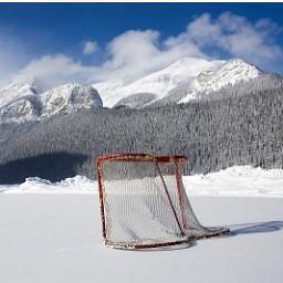 Hockey tweets and famous hockey quotes in less than 140 characters. Every day is a great day for hockey. - Mario Lemeiux