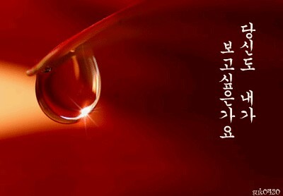 nannom3's profile picture. 경주 화랑초 경주중 경주고 경주대학교 EBC 643기 바로서는 대한민국을 바라는 애국애족 중도보수! 박근혜대통령님을 믿습니다!