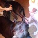 Keisha LaShaun Jones - @KeishaJones62 - Twitter