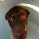 Luke Parrish - @riderluke1 - Twitter