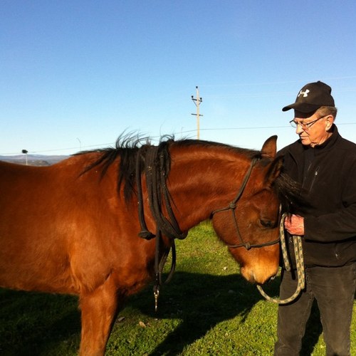 PburellBurell's profile picture. 