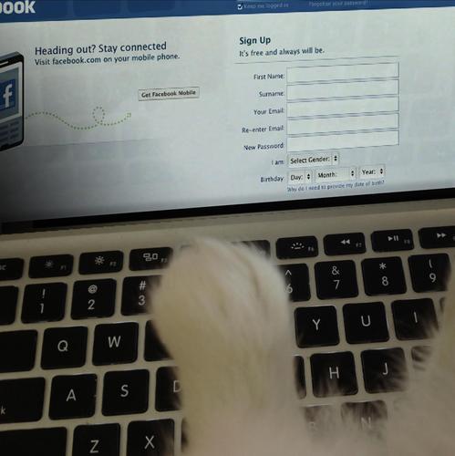 Heard this is where all the cool cats are so decided to see what all the fuss is about.

I’m Ned. I’m new to the net. New to Twitter. New to typinfsdg.