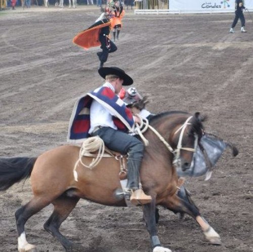 Ingeniero Comercial, director Escuadra Ecuestre Palmas de Peñaflor y del Criadero de Caballos Chilenos. ExConstituyente D17