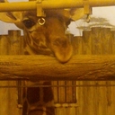 Brian Crew - @bighorncrew - Twitter