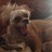 _thekenz_'s profile image