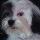 edward dingle - @edwarddingle1 - Twitter