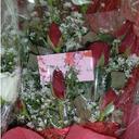 mai rodriguez - @nyradeagle - Twitter