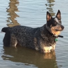 bberry804's profile picture. 