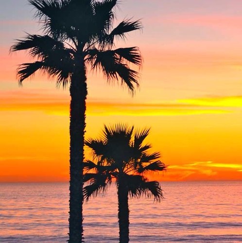 cynb13's profile picture. 