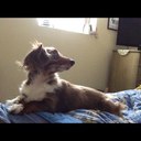 Ben Zuba - @ZubaBen - Twitter