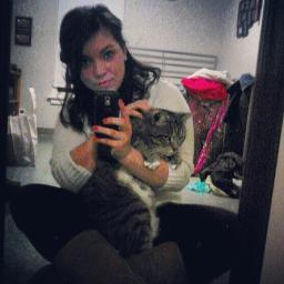 Cat lover.?