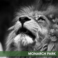 Monarch Park (@monarchpark) 's Twitter Profile