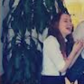 IM AN AWKWARD TURTLE