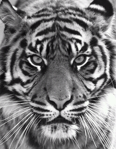 ComYurydaddy's profile picture. #보수당#전교조척결#종북척결#제2계정