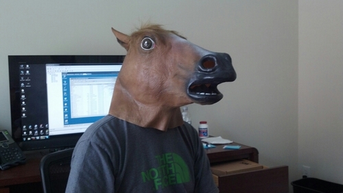 JavaForLife's profile picture. “Noah didn’t swim in the flood to prove his faith, he stayed in the ark until it was safe.”