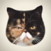 Pudge the Cat (@pudgethekitten) Twitter profile photo Pudge the Cat (@pudgethekitten) Twitter profile photo