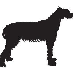 DogAndFoxChi's profile picture. Pub Global - Drink Local  28 craft drafts, 6 Nitro pours, Global Street Snack small plates, wine, classic and signature cocktails in The Lab, Chicago