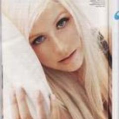 yibomt's profile picture. FL,USA