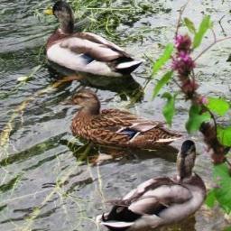 alexr_55's profile picture. Story writer and editor interested in literary fiction and WordPress, and partial to the V&A, Place Bellecour and the Mur de la Paix.