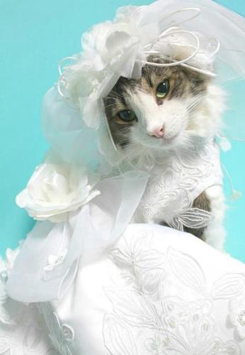 We will upload pictures that will make your day.