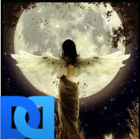 MoonAngelWings....NO DM, Lots of Silent Screaming❄(@MoonAngelWings) 's Twitter Profile Photo