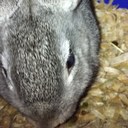 Bryant Tang - @BryantCrysus - Twitter