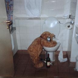 DaveDickeggsy's profile picture. 