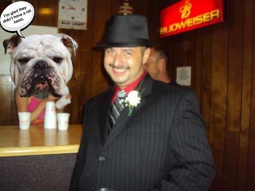 bmelon217's profile picture. 