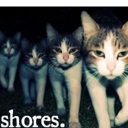 shoreshosers Profile Picture
