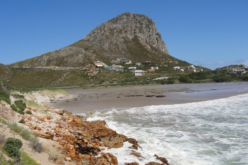 JacquesAMarais's profile picture. 