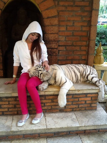 1st fansbase of @BEXXA_E from Solo | PO : @SOLObexxaneisa