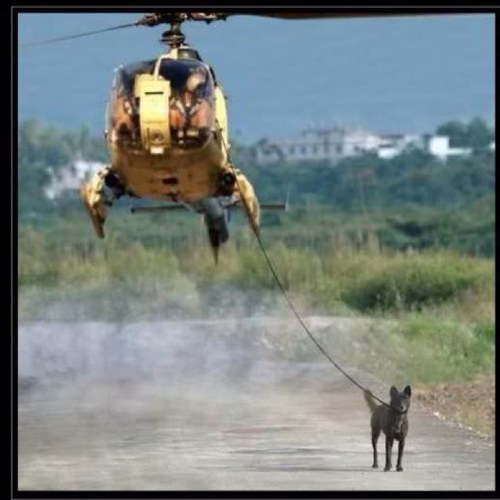 Father, Former Canine Handler, Pilot, Beginner Triathlete. Philadelphia Flyers and Phillies Fan.