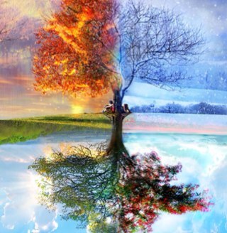 lal1947's profile picture. Пенсионеры: просто о главном!