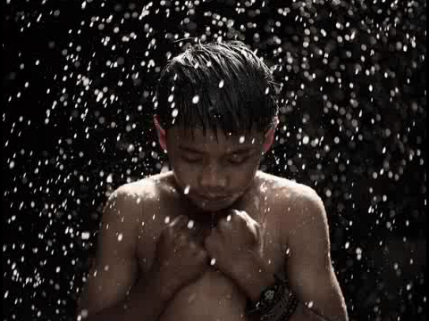 firdausmusthafa's profile picture. 