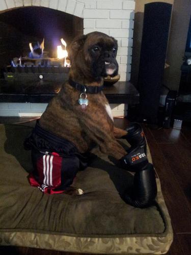 DanDavies95's profile picture. ''Have Faith''.