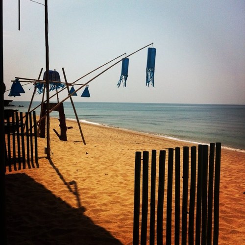 masken64's profile picture. 