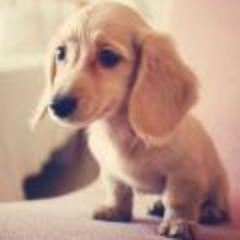 koy3454's profile picture. 팔로워 안하면 후회!! ^^팔로주시면 실시간 맞팔 200%