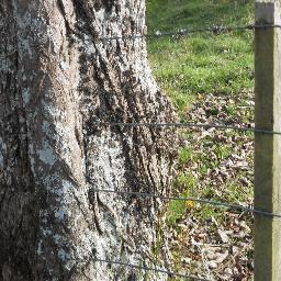 sack_politician's profile picture. It's time to make Politicians part time, reduce cost of Parliments. World-wide use Facebook and Twitter, reduce Politicians pay. Put the $$ to Health and Ed