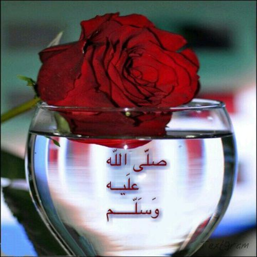 حساب يهتم بمتابعة نخبة من الاطباء النفسيين