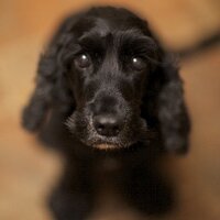 Steve Fox (@foxpics1) 's Twitter Profile Photo