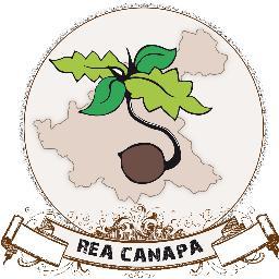 REA CANAPA ha come principale obiettivo quello di promuovere la coltivazione della canapa e il suo impiego nei vari settori produttivi del territorio Reatino.