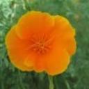 Bianca Wallace - @DjYungNycey - Twitter