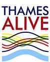 Thames Alive celebrates and promotes the River Thames associated with http://t.co/AychMIUU & tweets by Cindy @3days_in_london