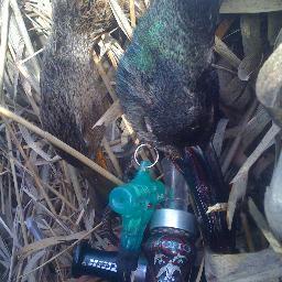 Bienvenu sur ma chaine de chasse et pêche ! n 'hésitez pas a laisser vos commentaires ou vos questions on n'y répondra avec grand plaisir. Bonne visite !!!!!!